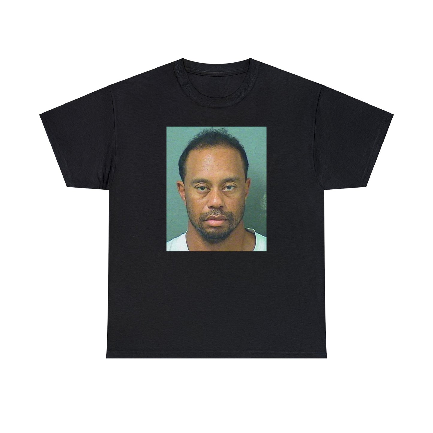 TIGER WOODS MUGSHOT