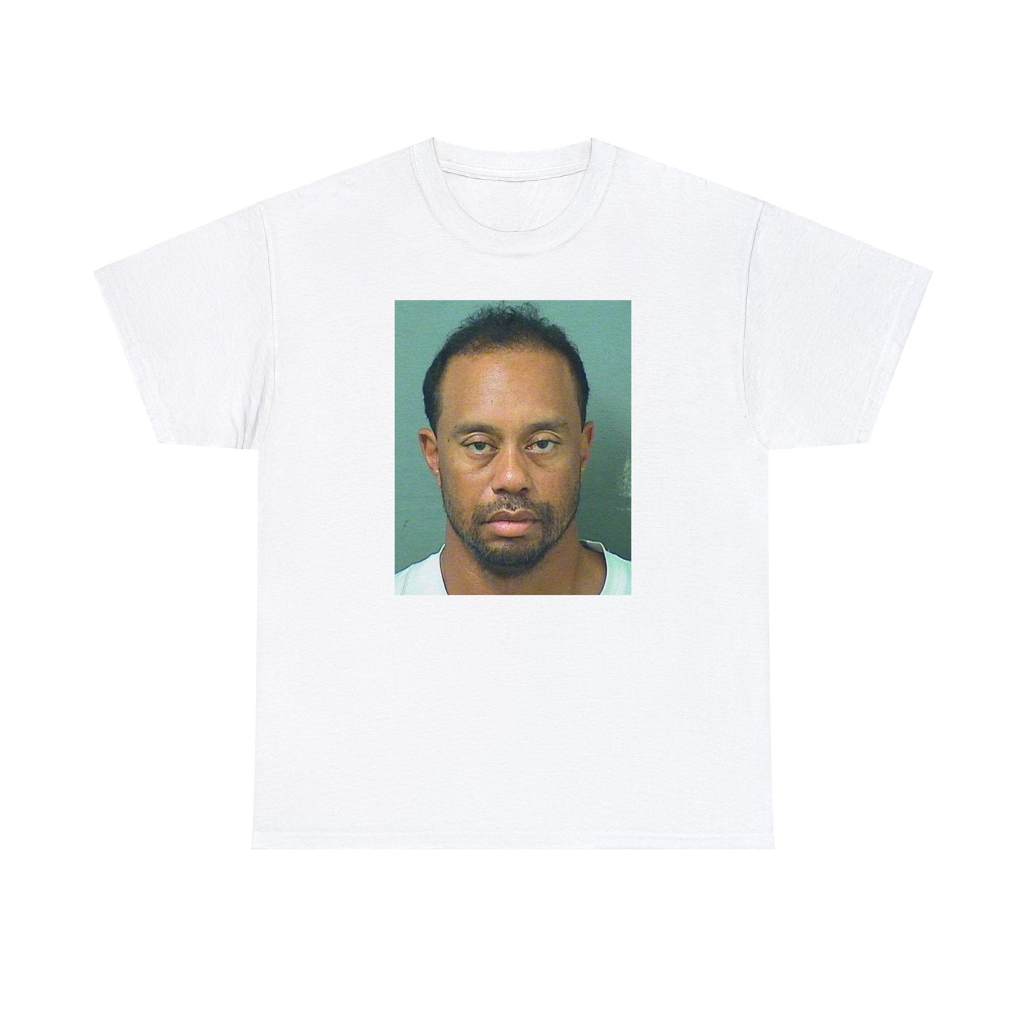 TIGER WOODS MUGSHOT